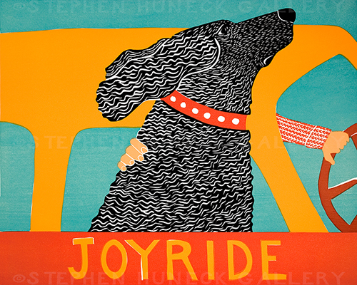 https://www.dogmt.com/images/P/joyride-blk-04.jpg