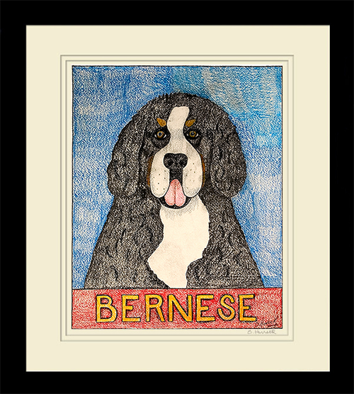 bernese mountain dog coloring pages